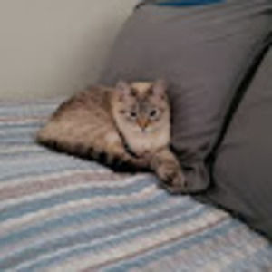 Meet your Posher, Matthew